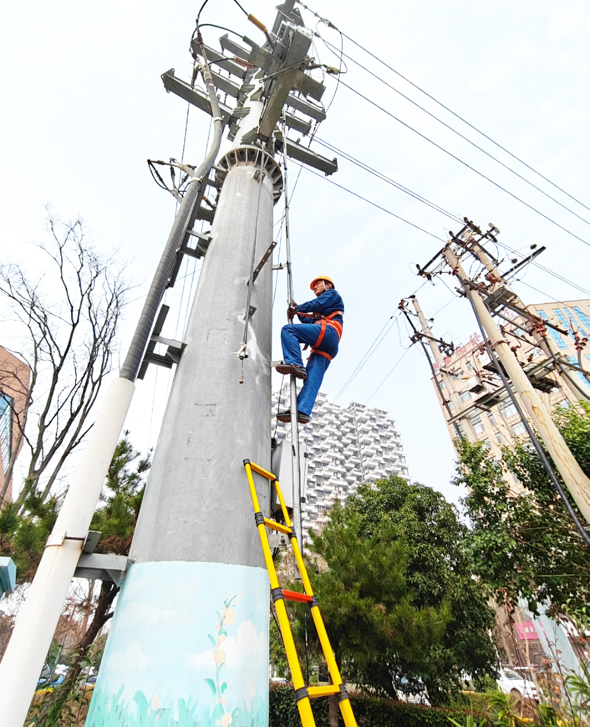 沈丘供電公司2025年配自設備維保.jpg
